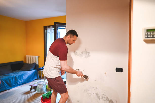 Best Fast Mold Removal  in Bogata, TX